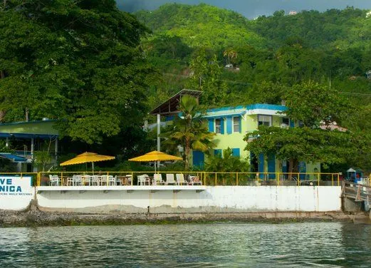 Dive Dominica