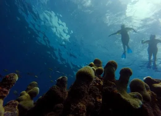 Montserrat Island Dive Centre