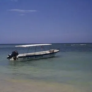 Jamaica Suba Divers LTD