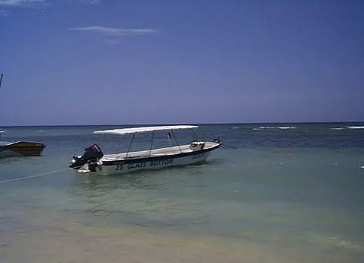 Jamaica Suba Divers LTD