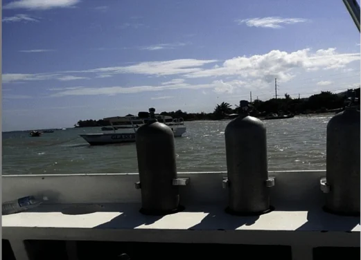 Resort Divers