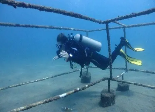 Poseidon Dive Center