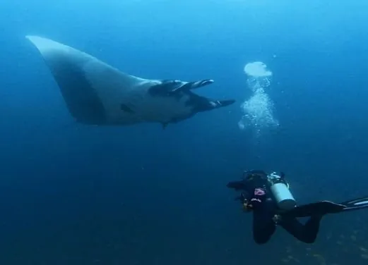 Pacific Coast Dive Center