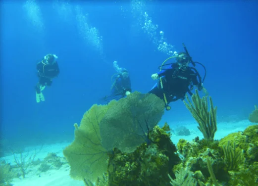 Guerrilla Divers