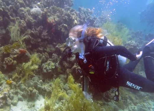Scuba 6 Eco Diving