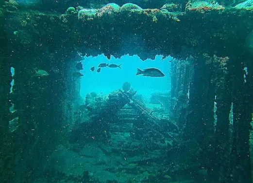 Admiralty Dive Center