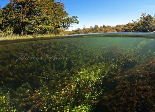 Centro Buen Buceo Trevelin