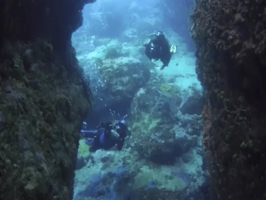 ABC Dive Plongée Martinique