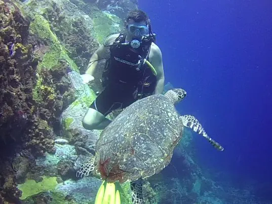 ABC Dive Plongée Martinique