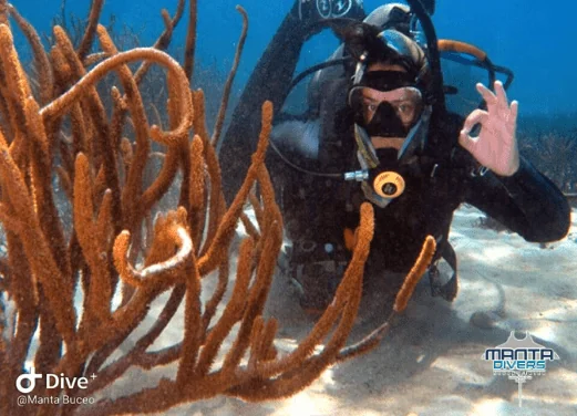 Manta Divers Scuba Center
