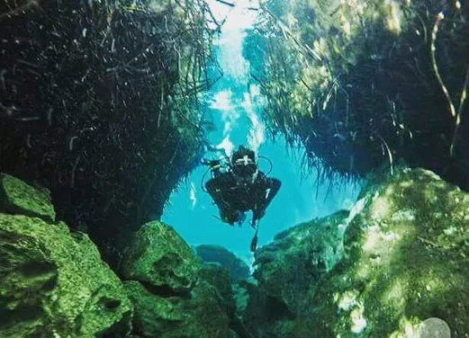 Dive Shop Mexico
