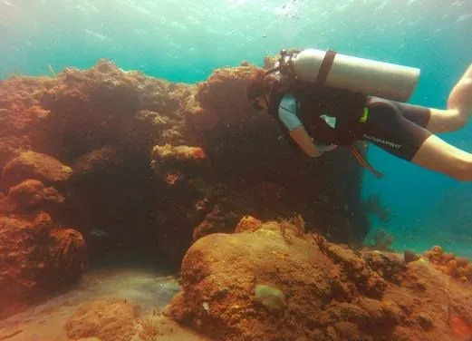 Montserrat Island Dive Centre