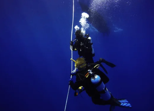 Yardie Divers