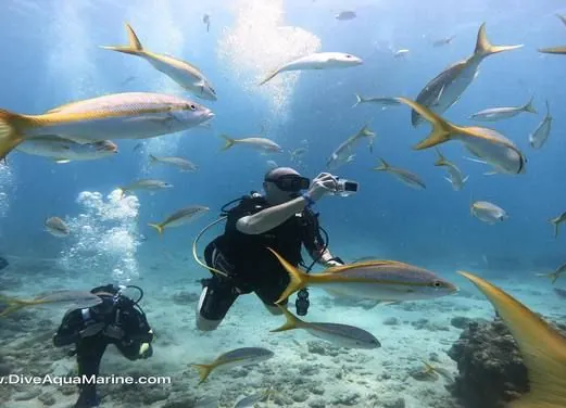 Aqua Marine Dive Shop