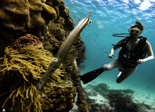 Rogers Scuba Shack