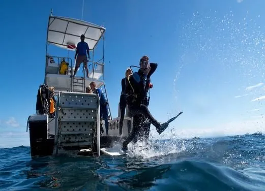 Scuba Dive Costa Rica