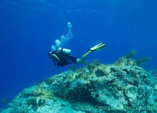St. Barth Plongee - Birdy Dive Center