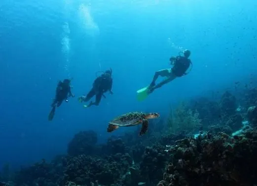 Scuba Lodge and Dive Center Pietermaai
