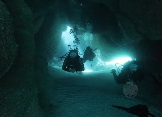 Dive Abaco