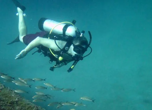 Paraiso Dive Cartagena