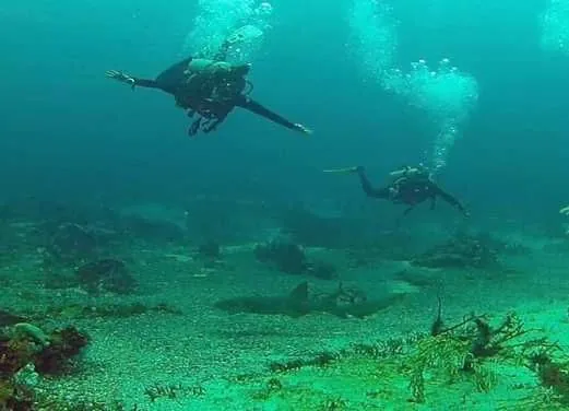 Undersea Tobago Ltd
