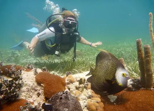 Coco Diving Center