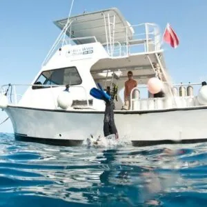 Blue Water Divers & Watersports