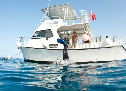 Blue Water Divers & Watersports