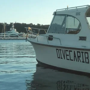 DiveCarib