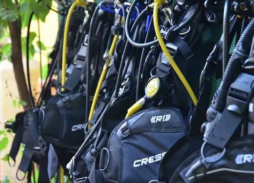 Guerrilla Divers