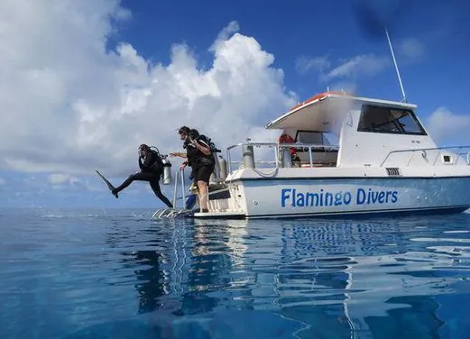 Flamingo Divers