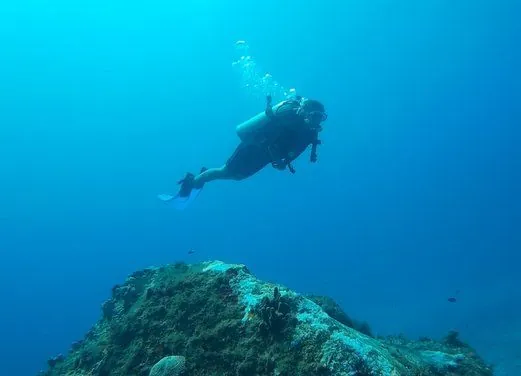 Dos Tiburones Dive Shop
