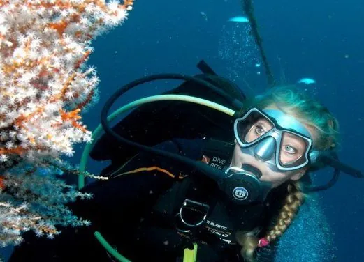 Indigo Dive