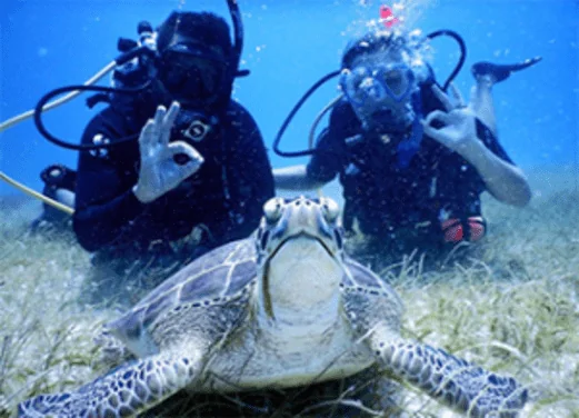 Sea Ventures Pro Dive Centers