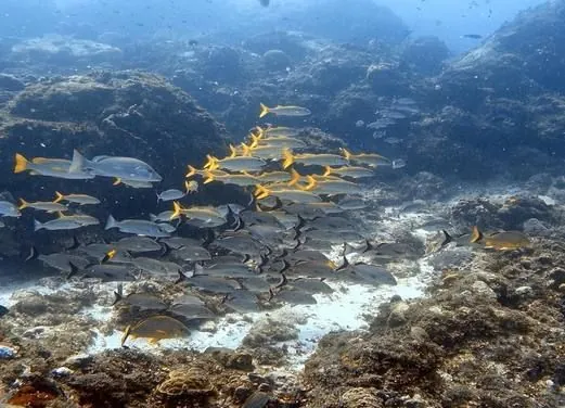 Corn Island Dive Center