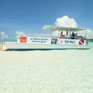 Reef Oasis Viva Bahamas