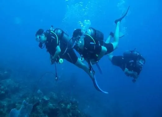 Sainte Luce Kawan Plongee