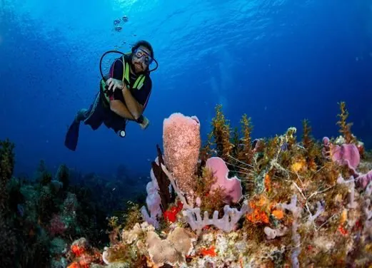 Espace Plongee Martinique