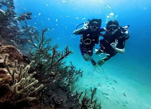Paraiso Dive Cartagena