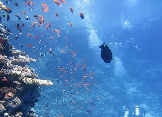 Scuba Caribe Negril