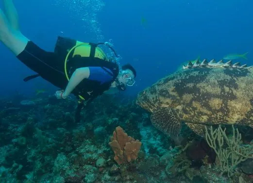 ScubaLibre Varadero