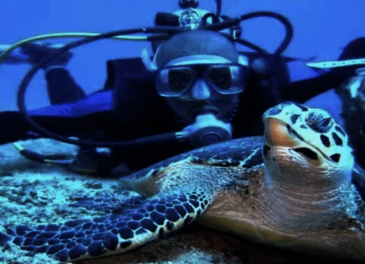 Native Spirit Scuba