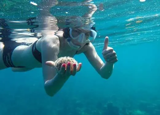 Kelly's Watersports