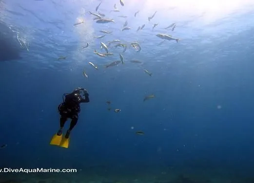 Aqua Marine Dive Shop