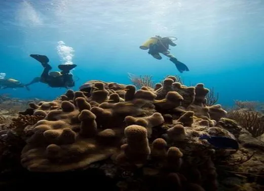 Sunchaser Scuba