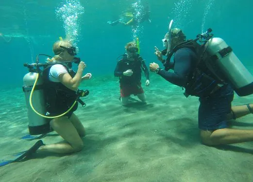 Serenity Dive
