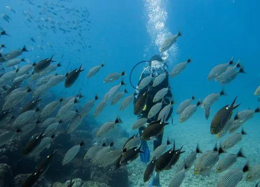 Scuba Dive Costa Rica