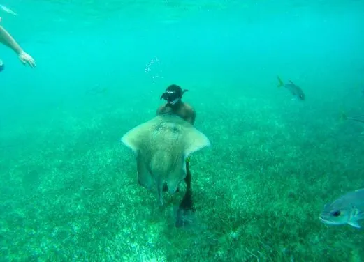 Ambergris Divers
