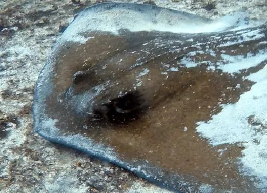 Corn Island Dive Center