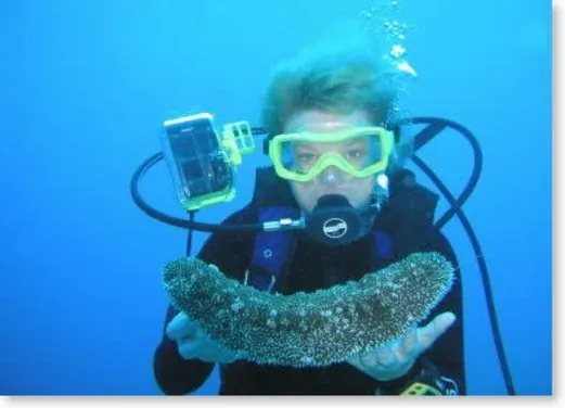 Jamaica Suba Divers LTD